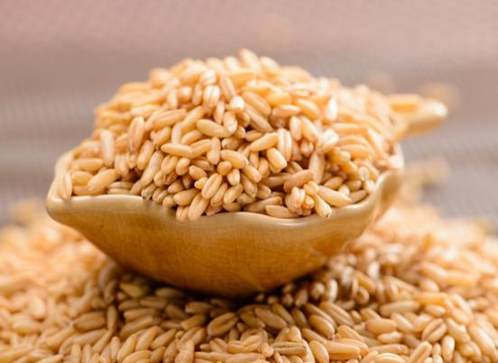 精釀啤酒設備,啤酒廠設備,開辦啤酒廠，浸麥