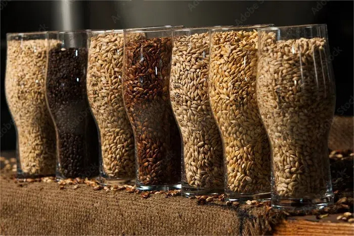 精釀啤酒原料-山東天泰<a href=http://m.toteng.com.cn/ target=_blank class=infotextkey>啤酒設備</a>