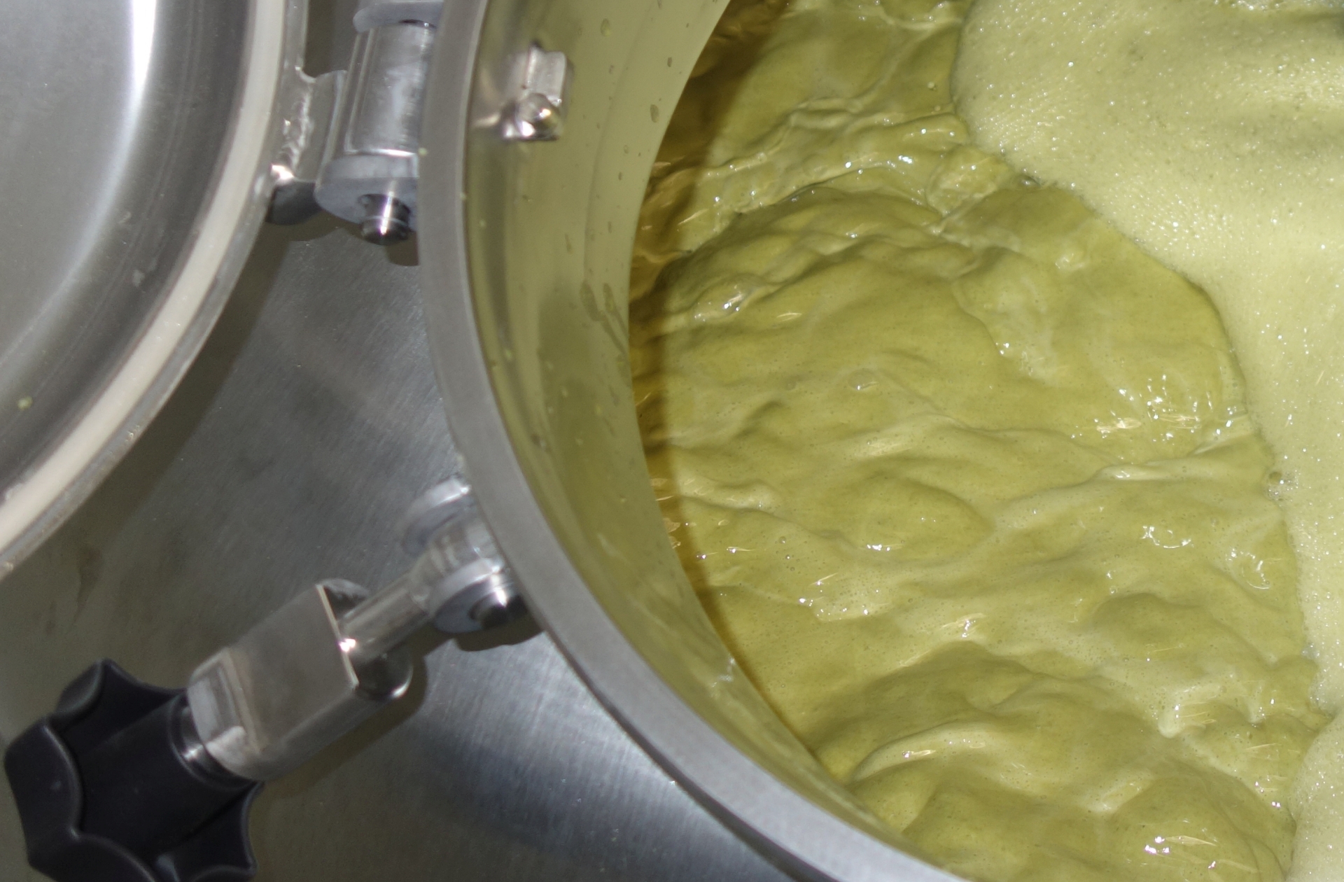 為什么要煮沸麥汁？